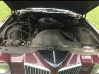 1974 Pontiac Grand Prix for sale in Florida (ID-87478)