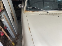 1974 Volvo 164E for sale in Norwich, Connecticut (ID-102832)