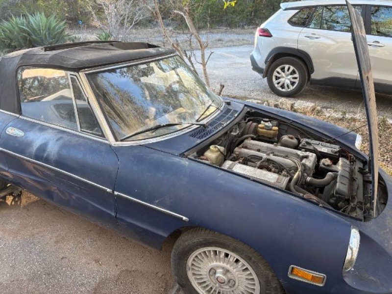 1974 Alfa Romeo Spider Veloce for sale in Michigan (ID-162025)