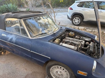 1974 Alfa Romeo Spider Veloce for sale