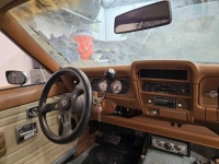 1974 AMC Gremlin for sale in Michigan (ID-141025)