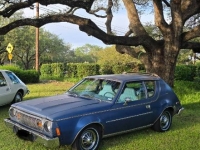 1974 AMC Gremlin for sale in Michigan (ID-164249)