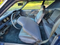 1974 AMC Gremlin for sale in Michigan (ID-164249)