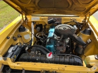 1974 AMC Hornet for sale in Riverhead, New York (ID-122343)