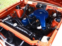 1974 AMC Hornet for sale in Michigan (ID-145097)