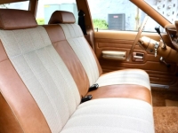 1974 AMC Hornet for sale in Michigan (ID-145097)