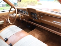 1974 AMC Hornet for sale in Michigan (ID-145097)