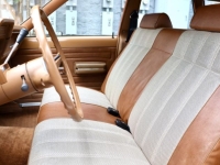 1974 AMC Hornet for sale in Michigan (ID-145097)