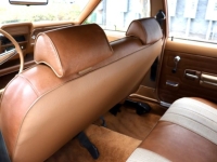 1974 AMC Hornet for sale in Michigan (ID-145097)