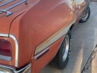 1974 AMC Javelin for sale in Michigan (ID-141980)