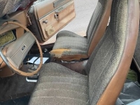 1974 AMC Javelin for sale in Michigan (ID-146614)