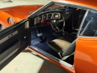 1974 AMC Javelin for sale in Michigan (ID-162522)