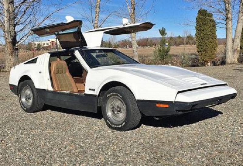 1974 Bricklin Gull Wing for sale (ID-100084)