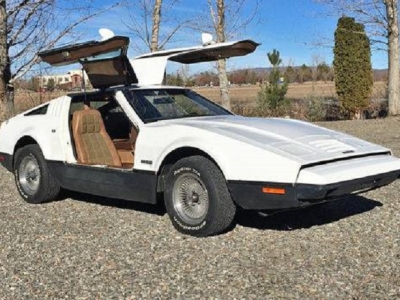 1974 Bricklin Gull Wing for sale