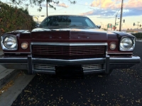 1974 Buick Century for sale in Michigan (ID-162156)