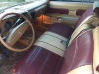 1974 Buick Century for sale in Michigan (ID-162156)
