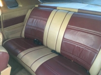 1974 Buick Century for sale in Michigan (ID-162156)
