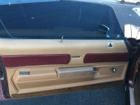 1974 Buick Century for sale in Michigan (ID-162156)