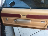 1974 Buick Century for sale in Michigan (ID-162156)