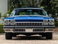 1974 Buick LeSabre for sale in Addison, Illinois (ID-128740)