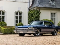 1974 Buick LeSabre for sale in Addison, Illinois (ID-128740)