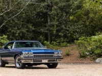 1974 Buick LeSabre for sale in Addison, Illinois (ID-128740)