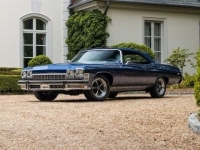 1974 Buick LeSabre for sale in Addison, Illinois (ID-128740)