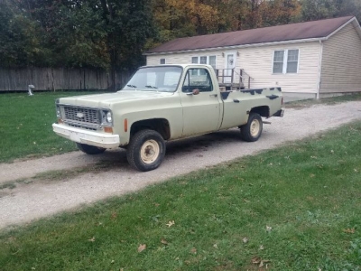 1974 Chevrolet 1500 for sale