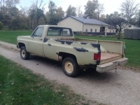 1974 Chevrolet 1500 for sale in Michigan (ID-94906)