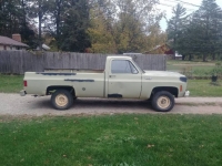 1974 Chevrolet 1500 for sale in Michigan (ID-94906)