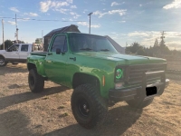 1974 Chevrolet C10 for sale in Michigan (ID-120908)