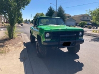1974 Chevrolet C10 for sale in Michigan (ID-120908)