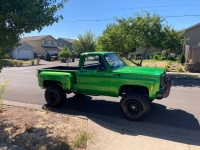 1974 Chevrolet C10 for sale in Michigan (ID-120908)
