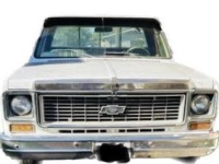1974 Chevrolet C10 for sale in Michigan (ID-154923)