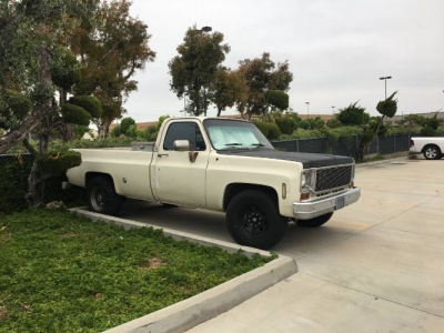 1974 Chevrolet C20 for sale