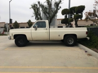 1974 Chevrolet C20 for sale in Michigan (ID-121031)