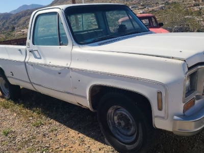1974 Chevrolet C20 for sale