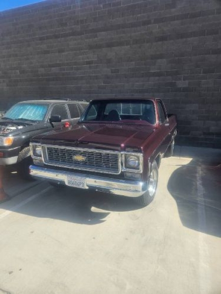 1974 Chevrolet C20 for sale in Michigan (ID-146051)