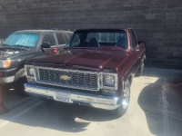 1974 Chevrolet C20 for sale in Michigan (ID-146051)