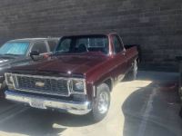 1974 Chevrolet C20 for sale in Michigan (ID-146051)