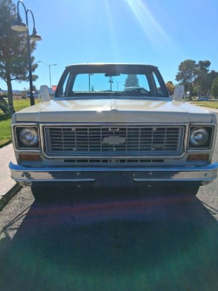 1974 Chevrolet C20 for sale in Michigan (ID-156255)