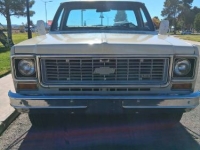 1974 Chevrolet C20 for sale in Michigan (ID-156255)