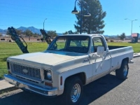 1974 Chevrolet C20 for sale in Michigan (ID-156255)