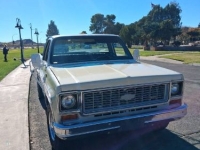 1974 Chevrolet C20 for sale in Michigan (ID-156255)