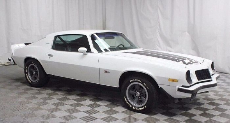 1974 Chevrolet Camaro for sale in Michigan (ID-109135)