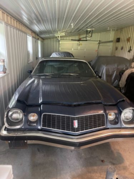 1974 Chevrolet Camaro for sale in Michigan (ID-117141)