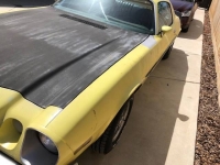 1974 Chevrolet Camaro for sale in Michigan (ID-117306)