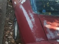 1974 Chevrolet Camaro for sale in Michigan (ID-146487)