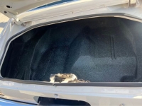 1974 Chevrolet Camaro for sale in Michigan (ID-161084)