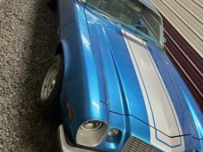 1974 Chevrolet Camaro for sale in Michigan